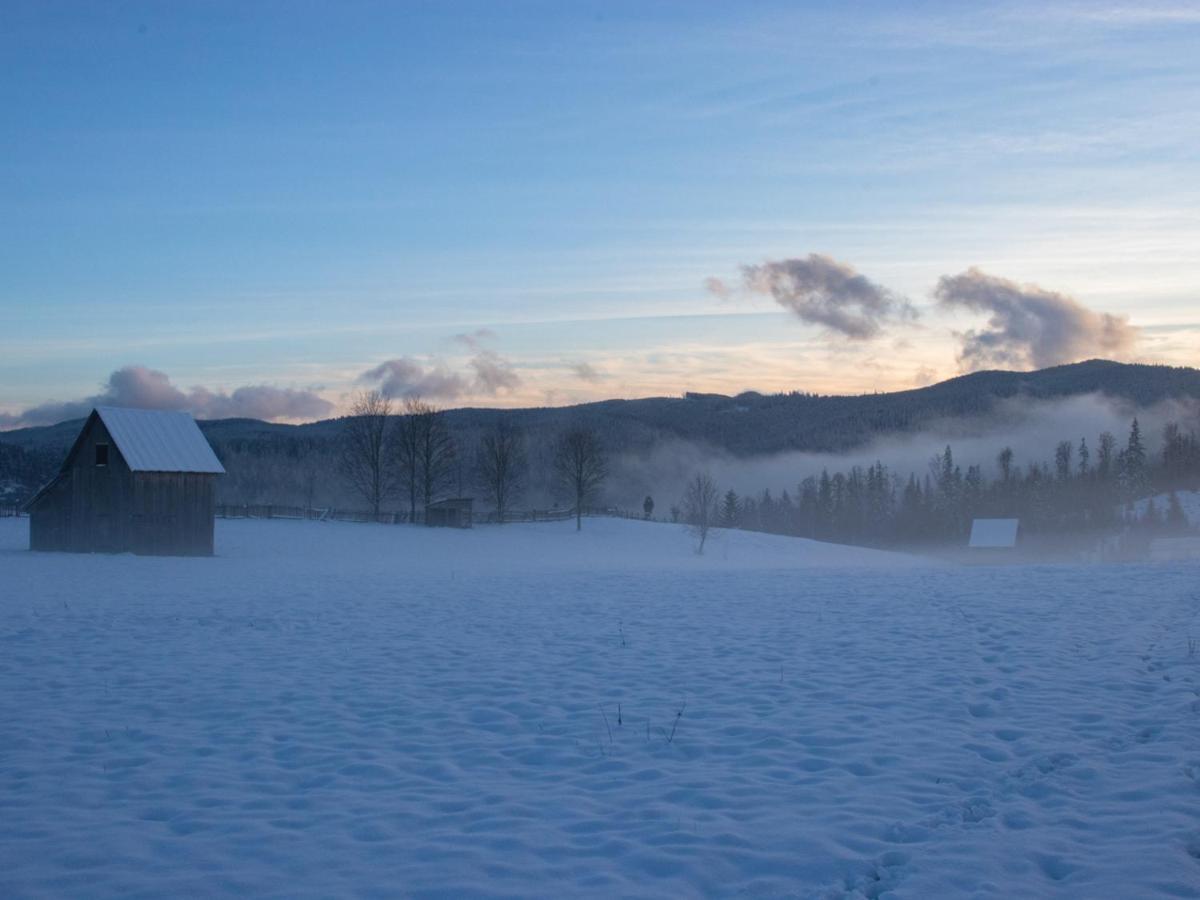Chalet Delut Botuş エクステリア 写真