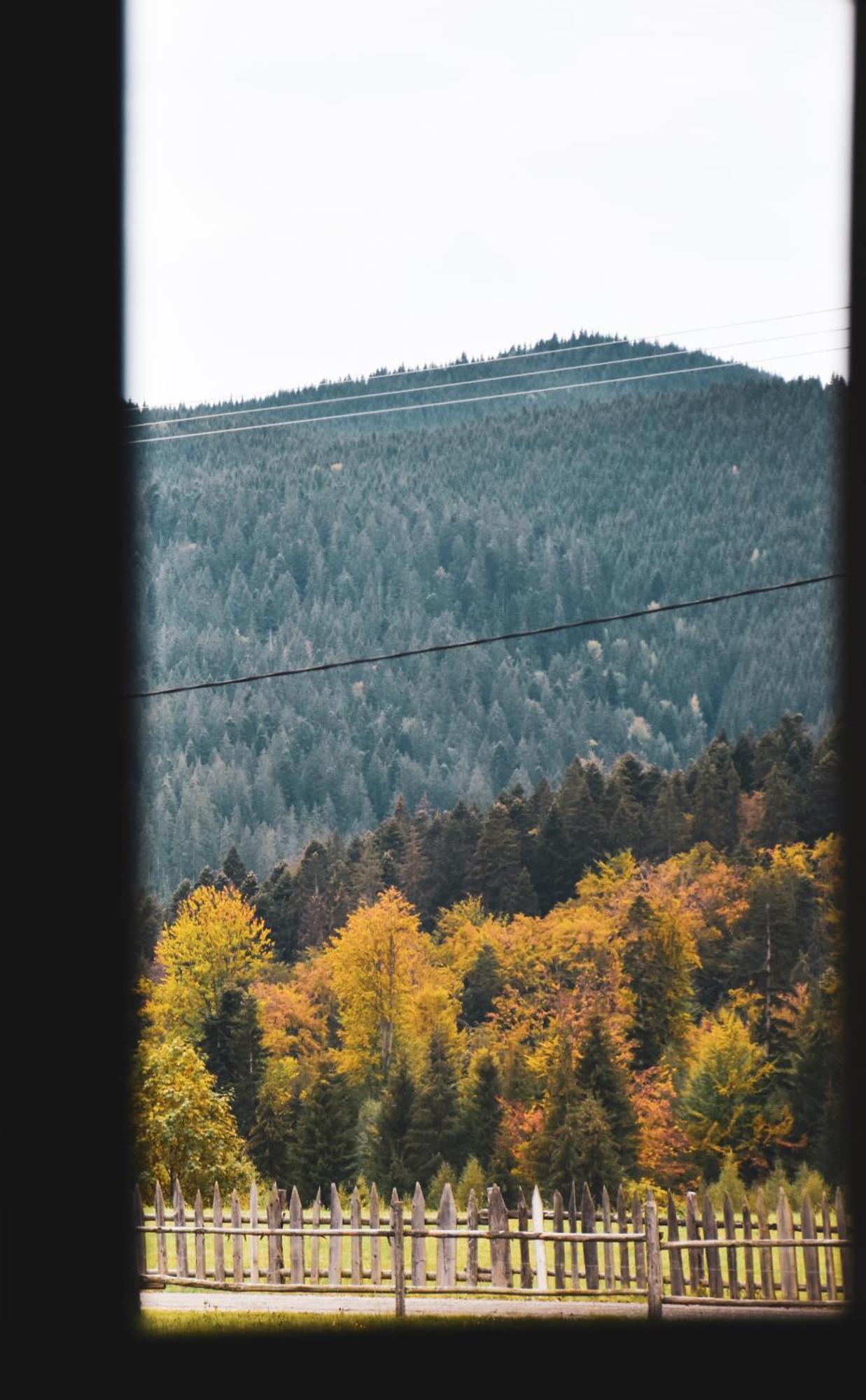 Chalet Delut Botuş エクステリア 写真